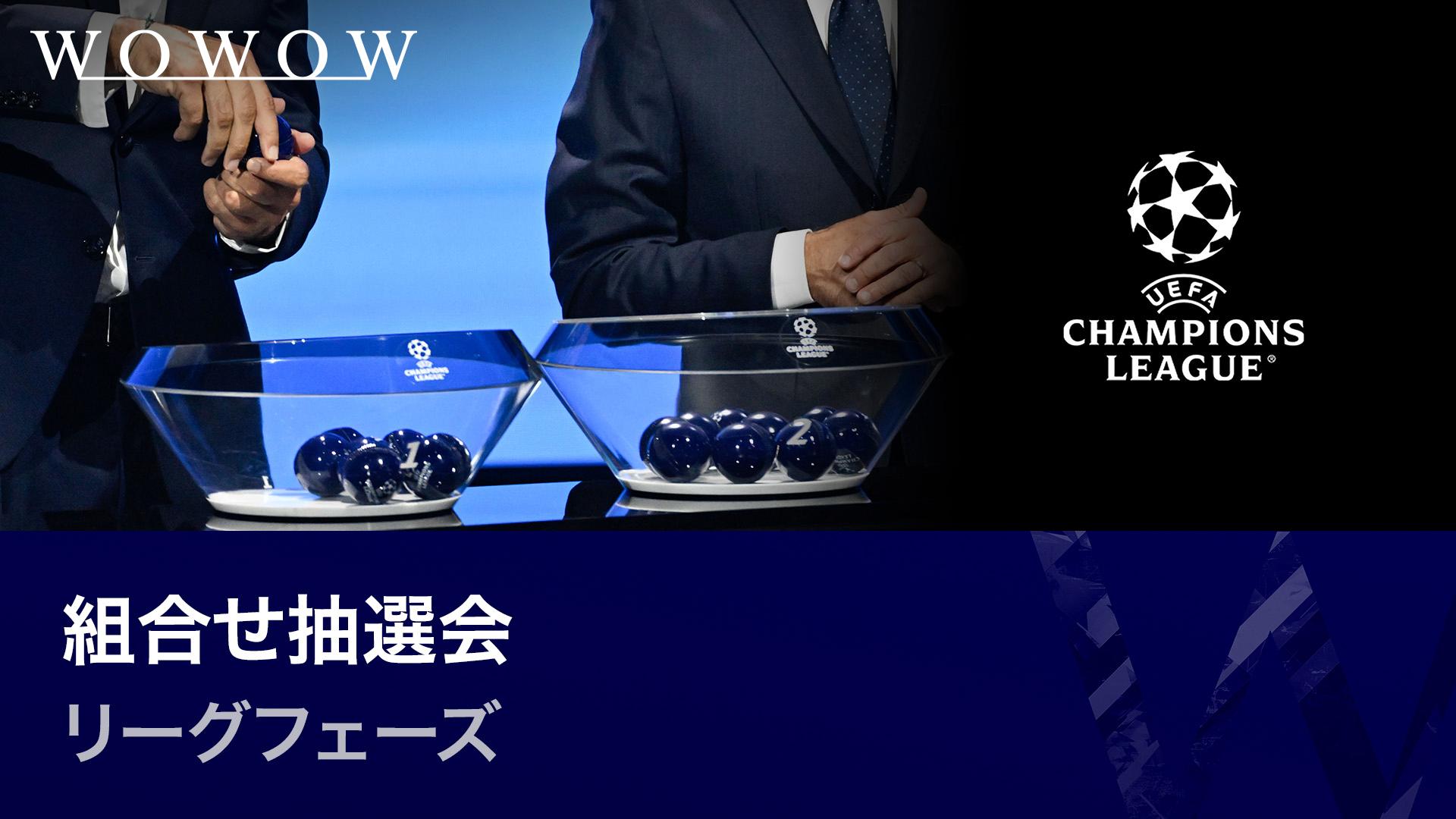 非売品UEFA 2025チャンピオンズリーグ決勝 タペストリー UEFA 2025