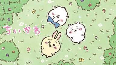 ちいかわ - シーズン1 - 181話 (アニメ) | 無料動画・見逃し配信 ちいかわ - シーズン1 - 181話 (アニメ) | 無料動画・見逃し配信