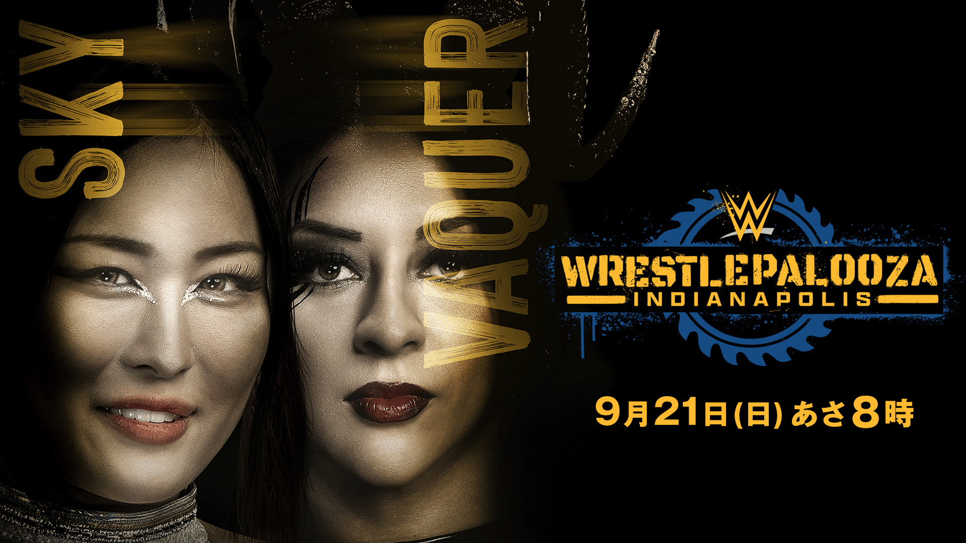 WWE プレミアムライブイベント - レッスルマニア - レッスルマニア35