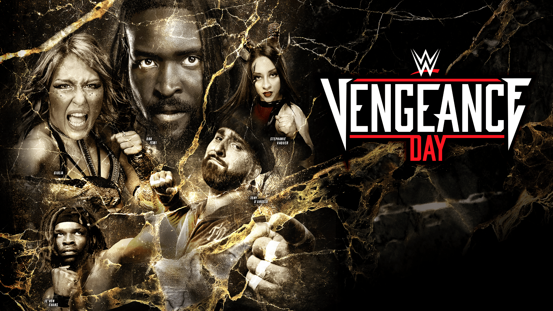 宅急便送料込 未開封 WWE 「 ジェフ・ハーディー ハーディーボーイズ