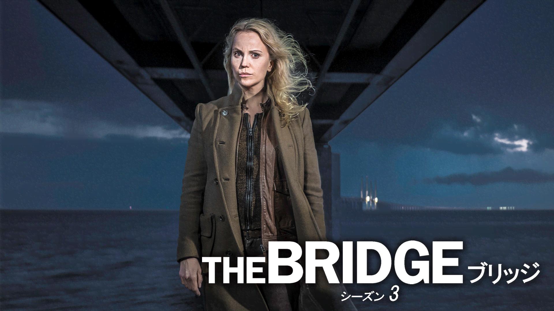 THE BRIDGE/ブリッジ - season3 - 2話 (ドラマ) | 無料動画・見逃し