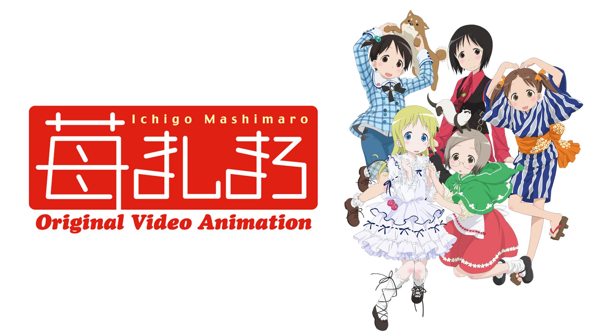 thumb.png?height=720&quality=