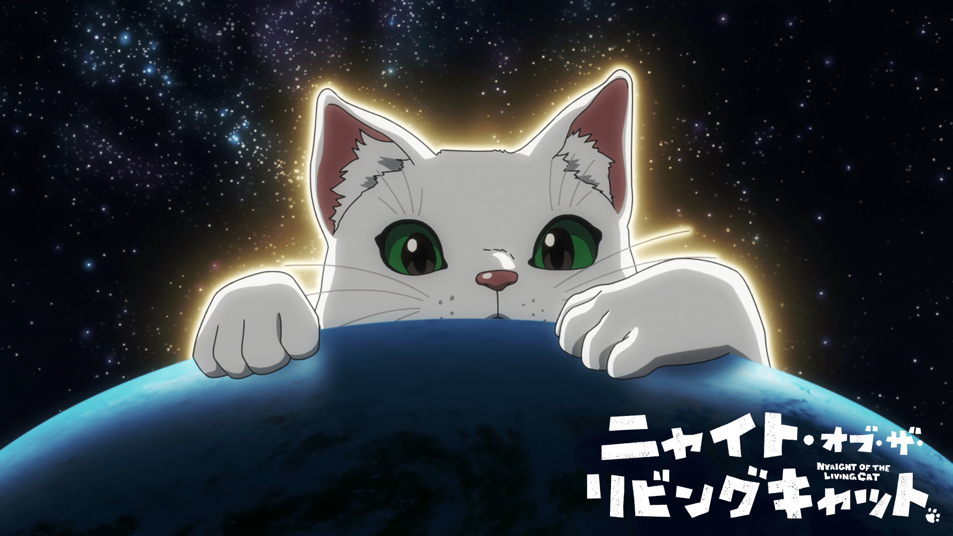 ニャイト・オブ・ザ・リビングキャット (アニメ) | 無料動画・見逃し