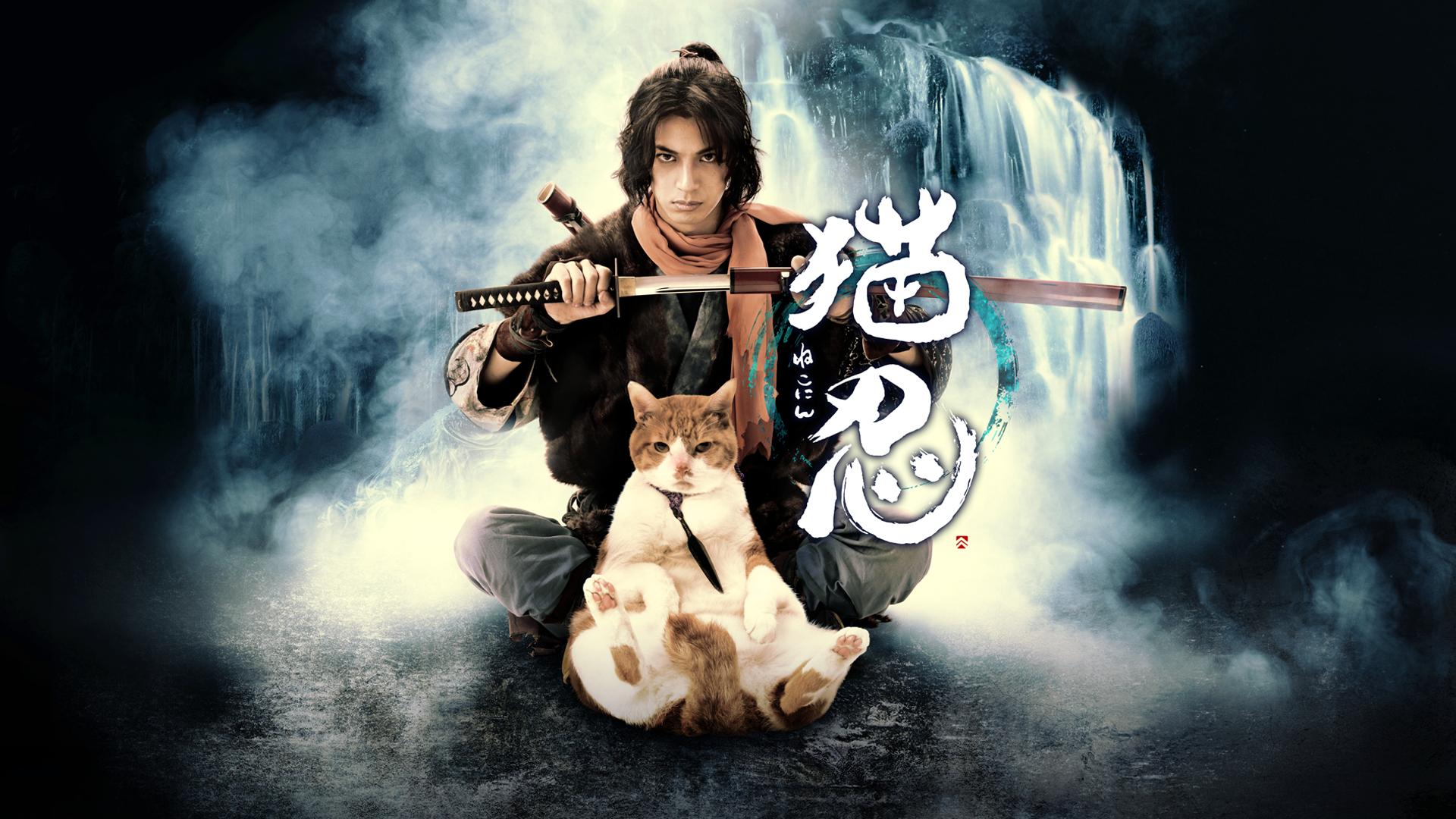 猫忍 (ドラマ) | 無料動画・見逃し配信を見るなら | ABEMA