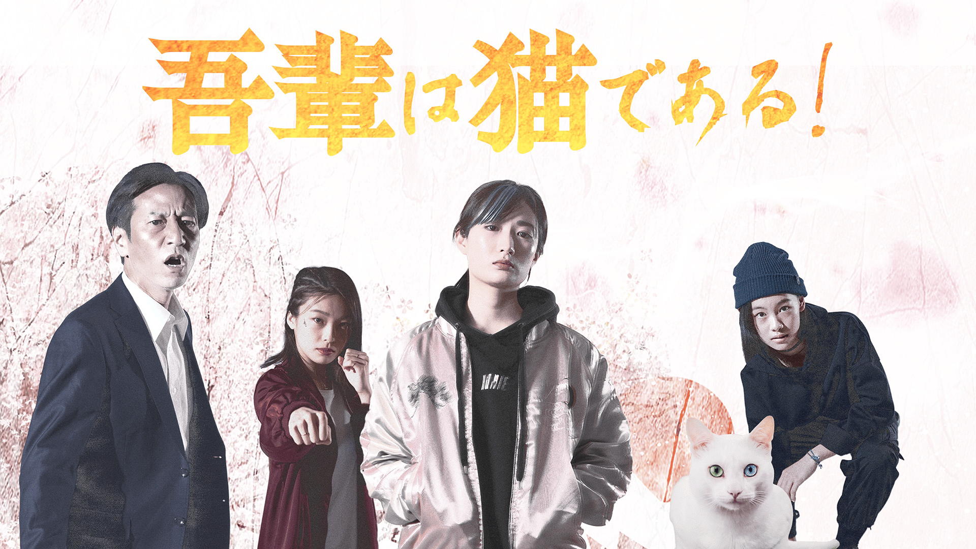 吾輩は猫である! (映画) | 無料動画・見逃し配信を見るなら | ABEMA