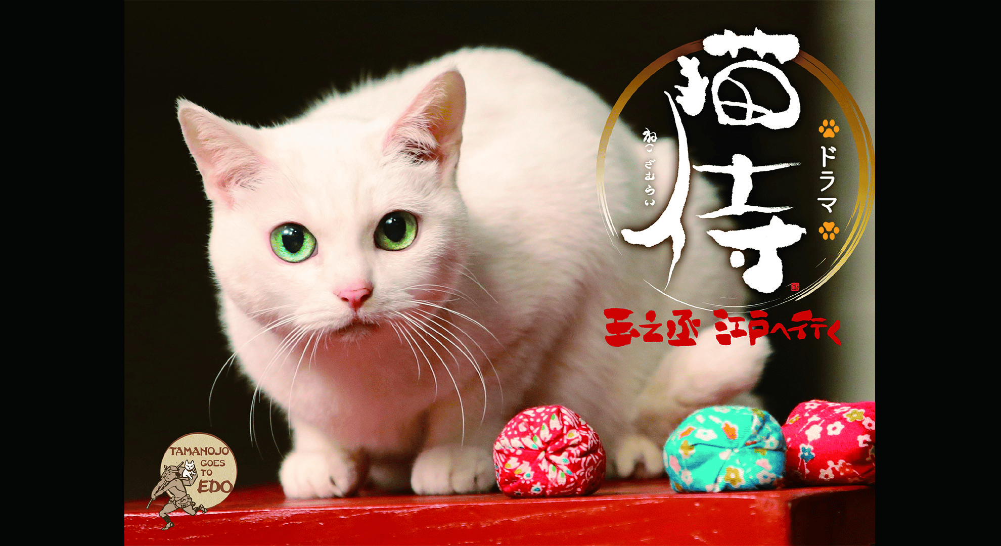 thumb.png?height=720&quality=