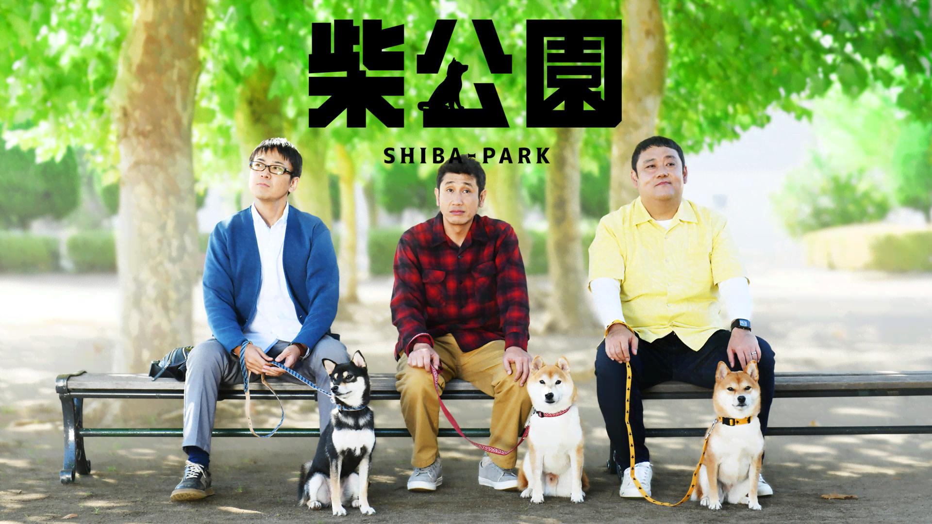 ドラマ版 柴公園 (ドラマ) | 無料動画・見逃し配信を見るなら | ABEMA