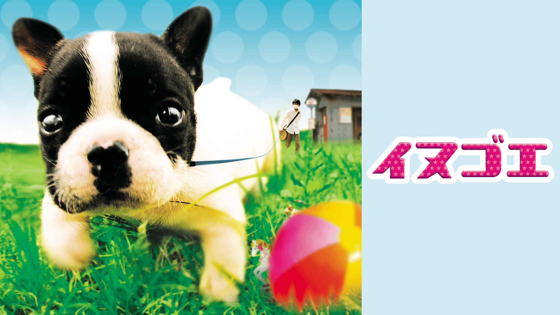 イヌゴエ (映画) | 無料動画・見逃し配信を見るなら | ABEMA