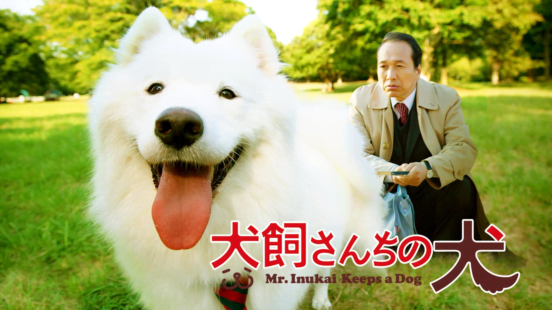 映画版 犬飼さんちの犬 (映画) | 無料動画・見逃し配信を見るなら | ABEMA