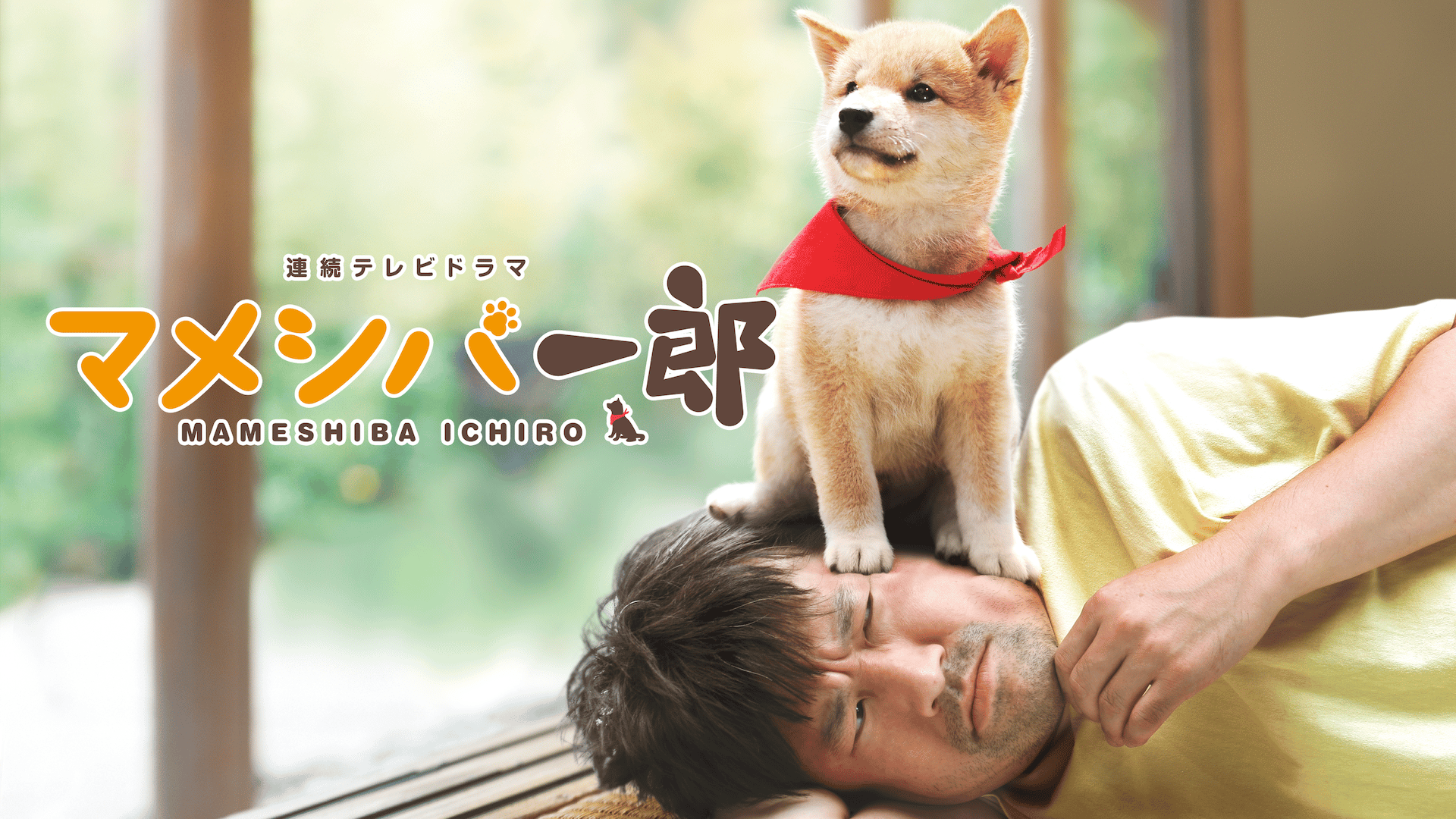 ドラマ版 マメシバ一郎 (ドラマ) | 無料動画・見逃し配信を見るなら