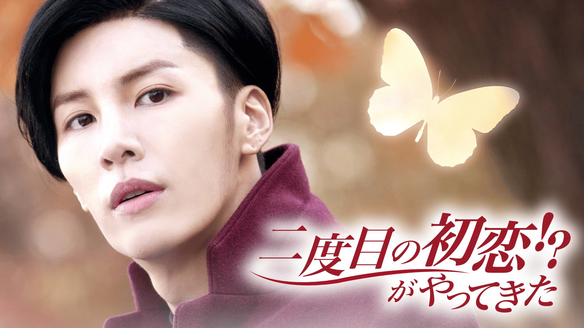 二度目の初恋!?がやってきた (韓国・中国ドラマ) | 無料動画・見逃し