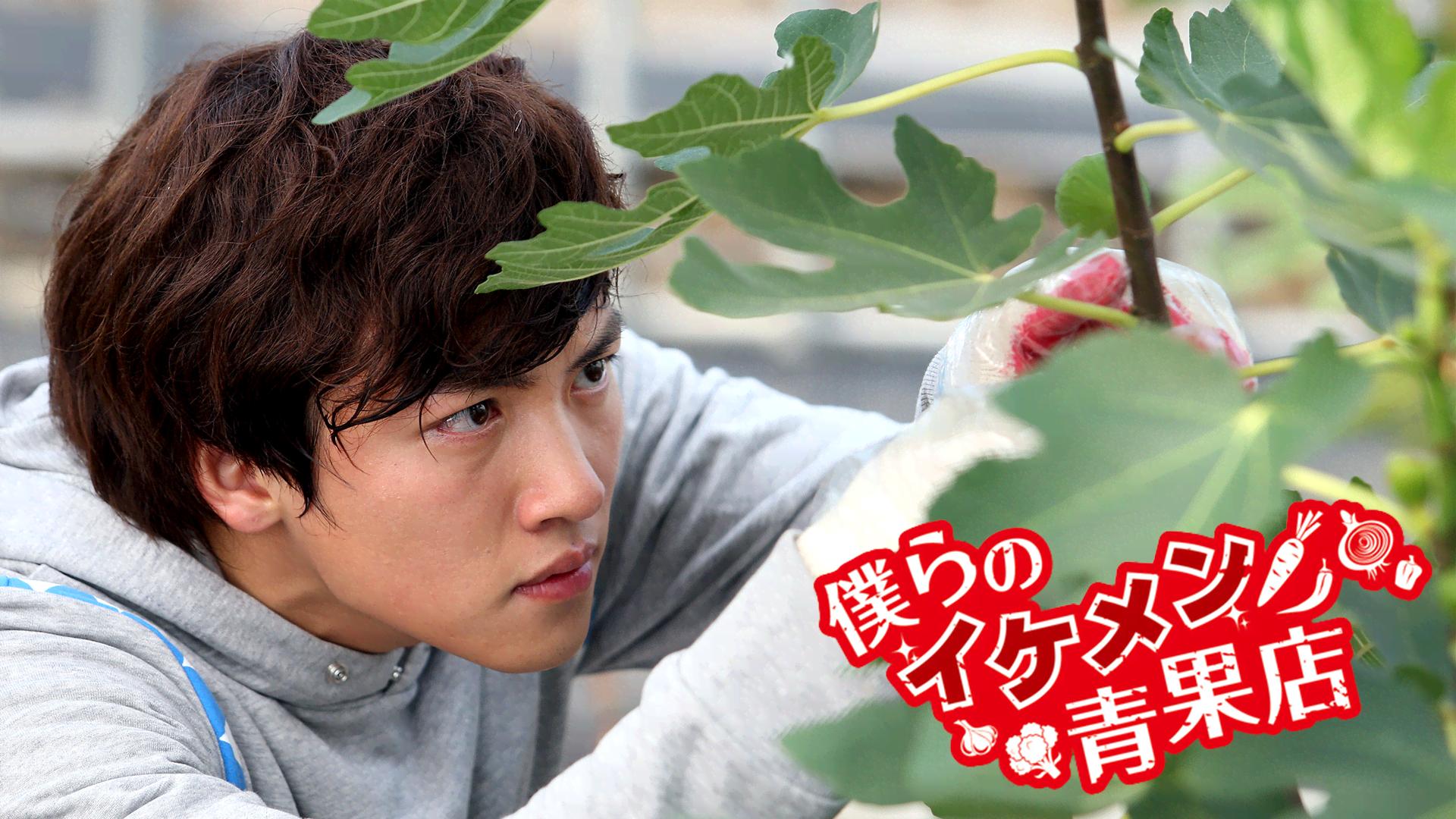 韓国ドラマ『僕らのイケメン青果店』サントラ&DVD(全話) 超新星 Amazon.co.jp: 僕らのイケメン青果店 DVD-BOX : チ・チャンウク