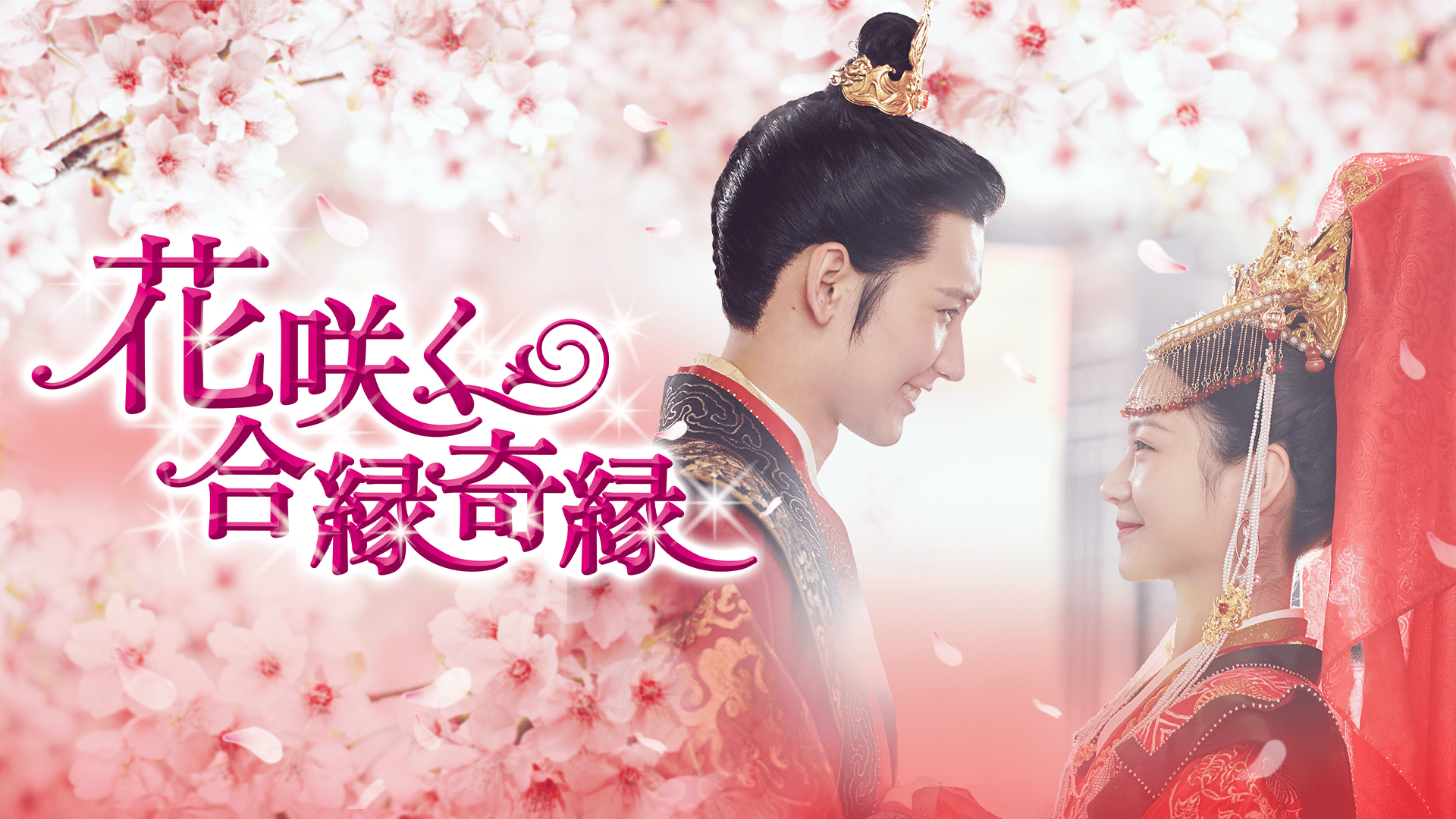 花咲く合縁奇縁 (韓国・中国ドラマ) | 無料動画・見逃し配信を