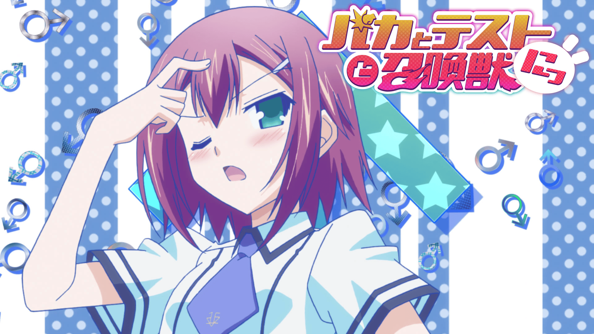 バカとテストの召喚獣 カード バカとテストと召喚獣12.5 | バカテス