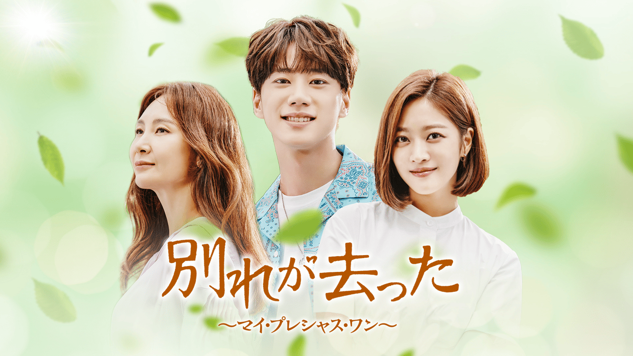 【韓国ドラマ】DVD★『別れが去った~マイ・プレシャス・ワン~』(全話) thumb.png?height=720&quality=