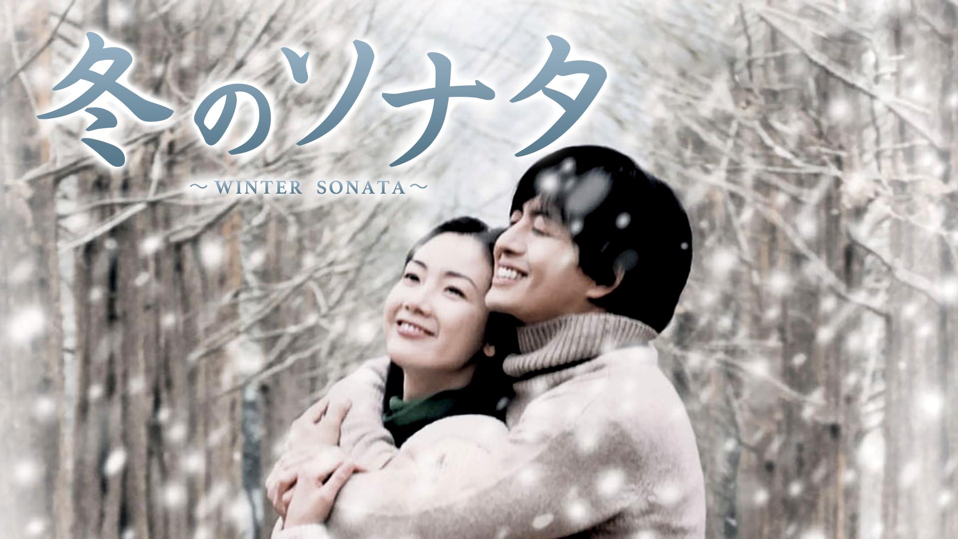 冬のソナタplus ◇限定Special Price - 洋画・外国映画