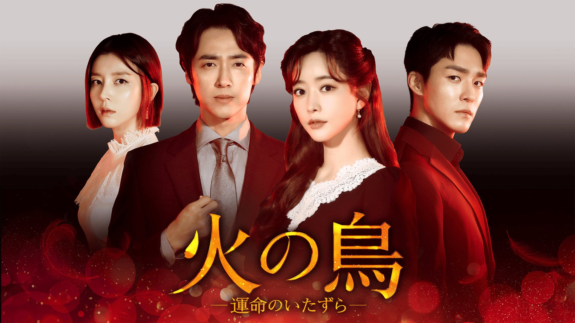 火の鳥-運命のいたずら- (韓国・中国ドラマ) | 無料動画・見逃し配信を