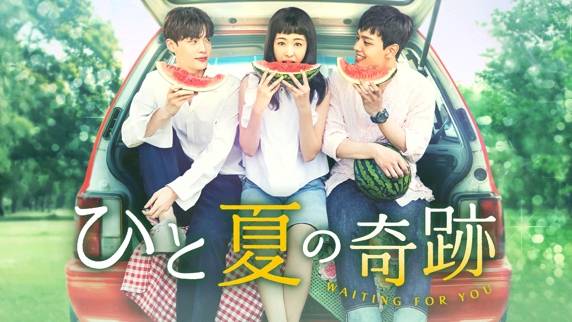 DVD/海外TVドラマ/ひと夏の奇跡〜waiting for you DVD-BOX1 :tced-4118 