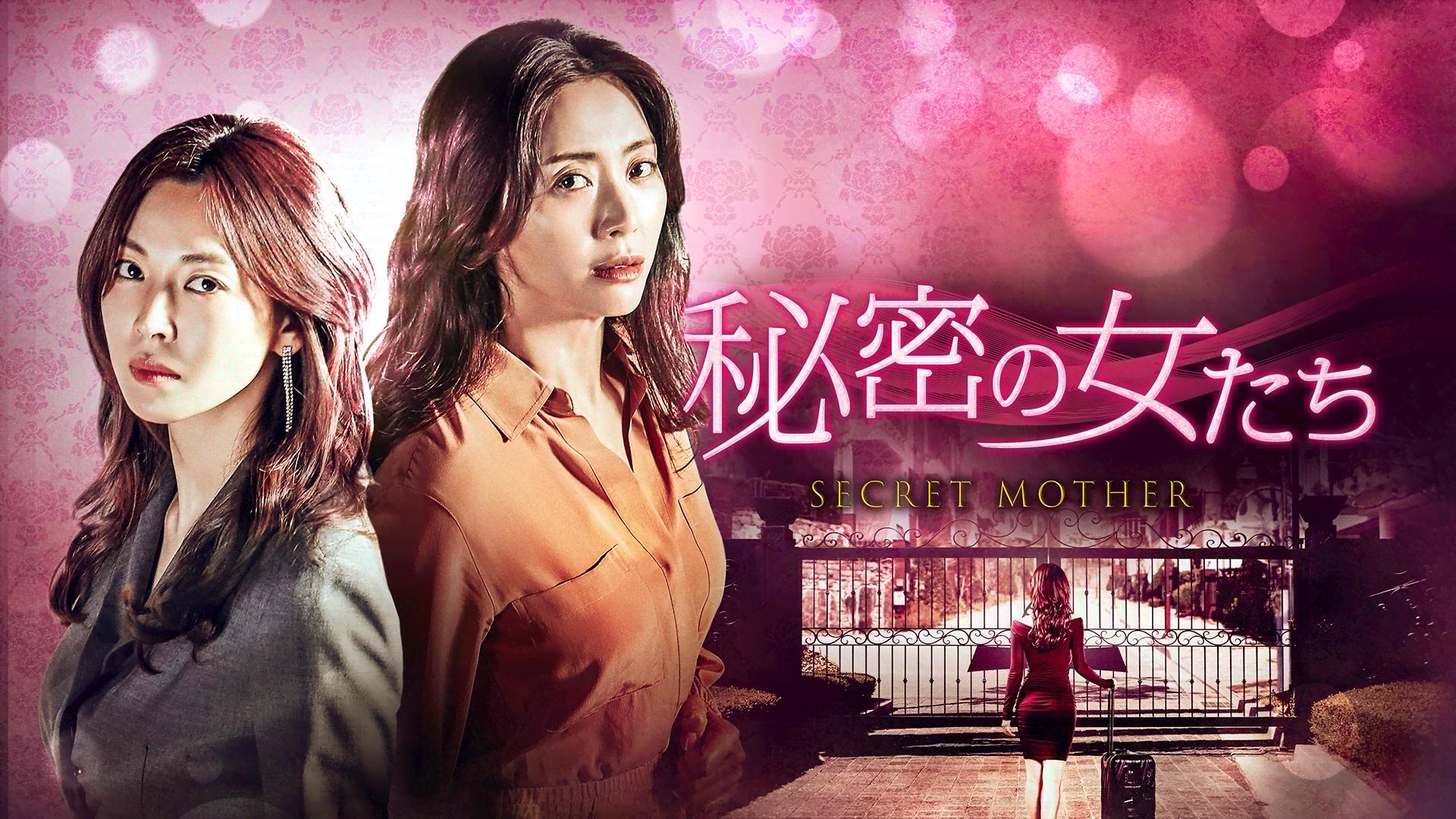 秘密の女たち (韓国・中国ドラマ) | 無料動画・見逃し配信を見るなら