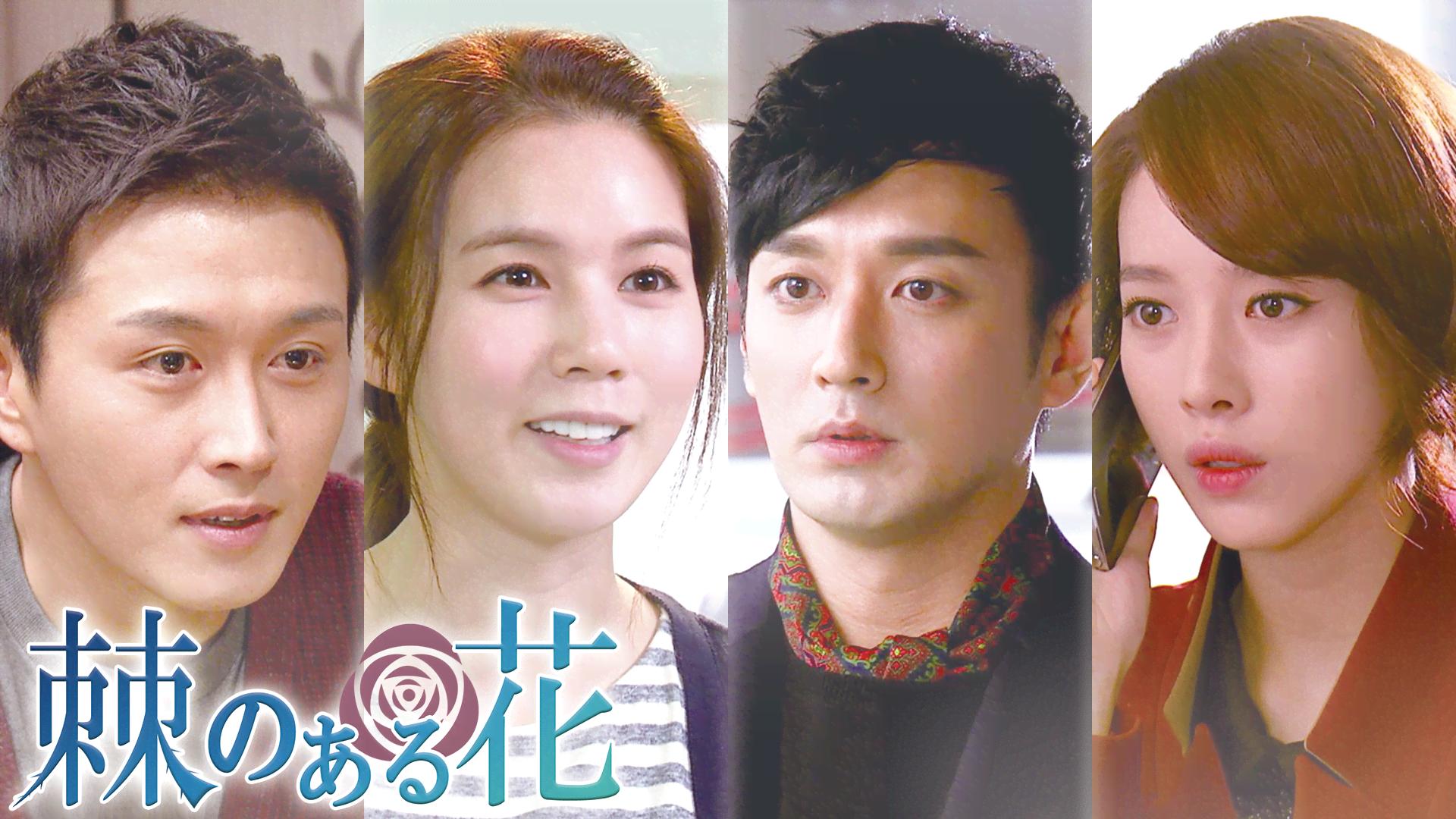 棘のある花 (韓国・中国ドラマ) | 無料動画・見逃し配信を見るなら | ABEMA