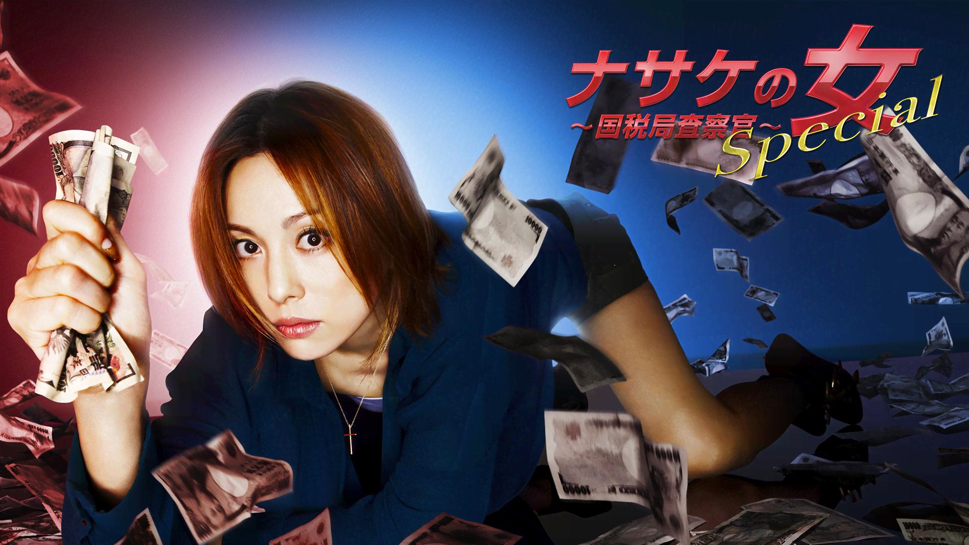 ナサケの女Special~国税局査察官~ (ドラマ) | 無料動画・見逃し配信を