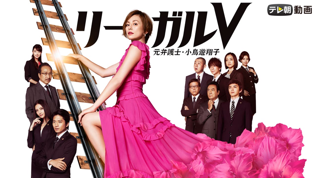 リーガルV~元弁護士・小鳥遊翔子~ DVD-BOX〈5枚組〉 リーガルV~元弁護士・小鳥遊翔子~ (ドラマ) | 無料動画・見逃し