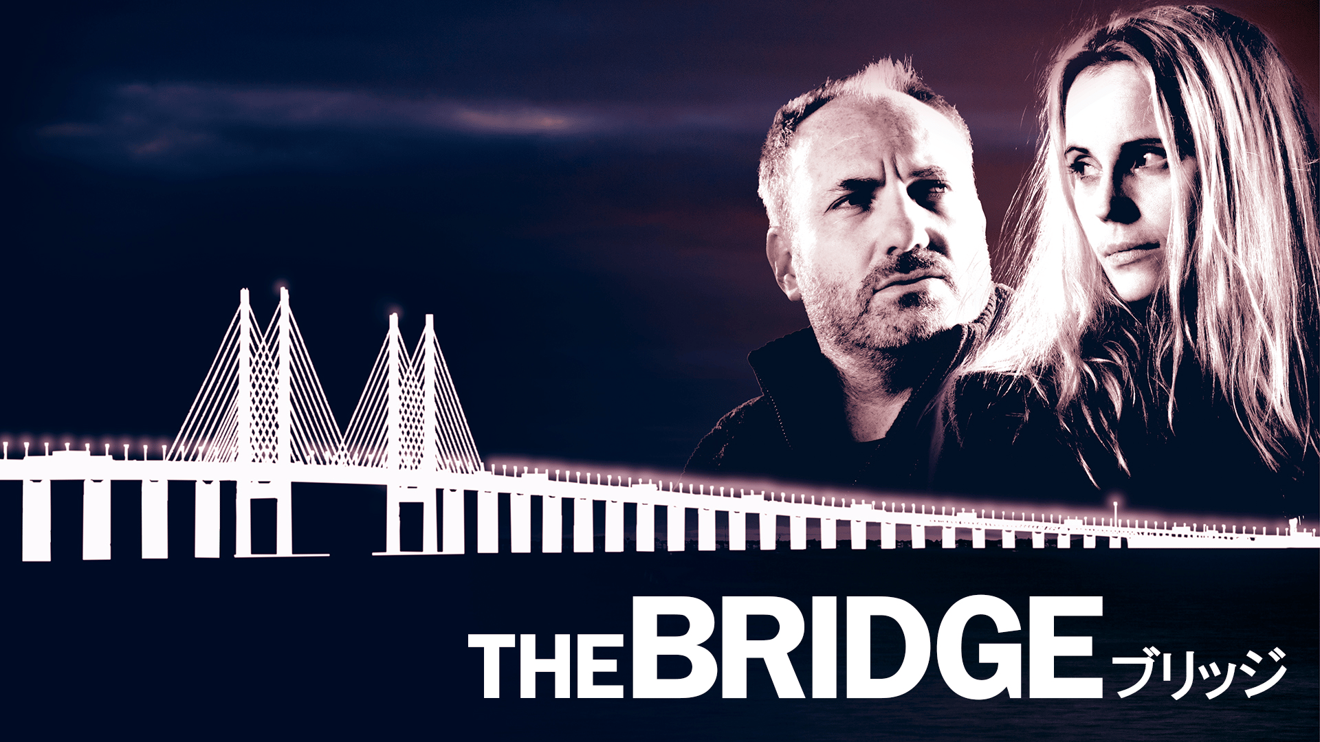 THE BRIDGE/ブリッジ - season3 (ドラマ) | 無料動画・見逃し配信を