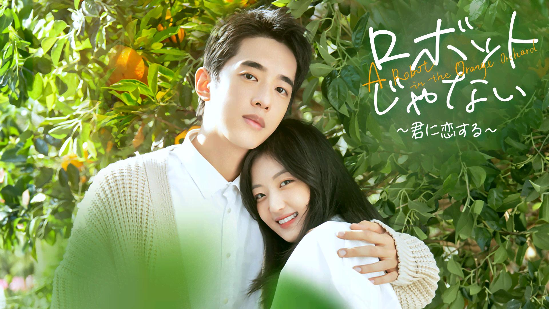 新品未開封　ロボットじゃない～君に夢中!～ BOX1・2　韓国ドラマ ロボットじゃない君に夢中BOX1.2 (コンプリート・シンプルDVD