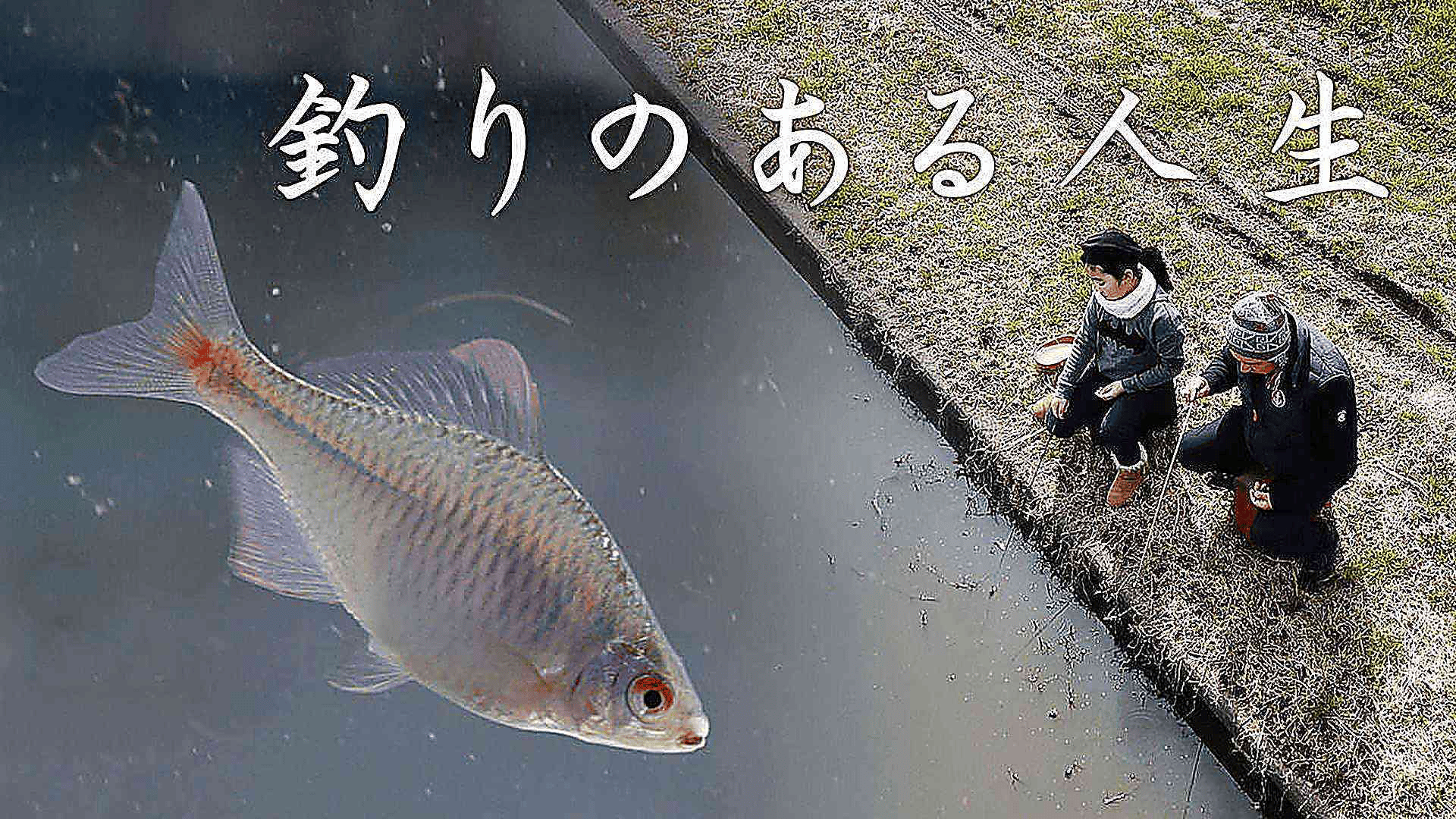 釣りのある人生 (釣り) | 無料動画・見逃し配信を見るなら | ABEMA