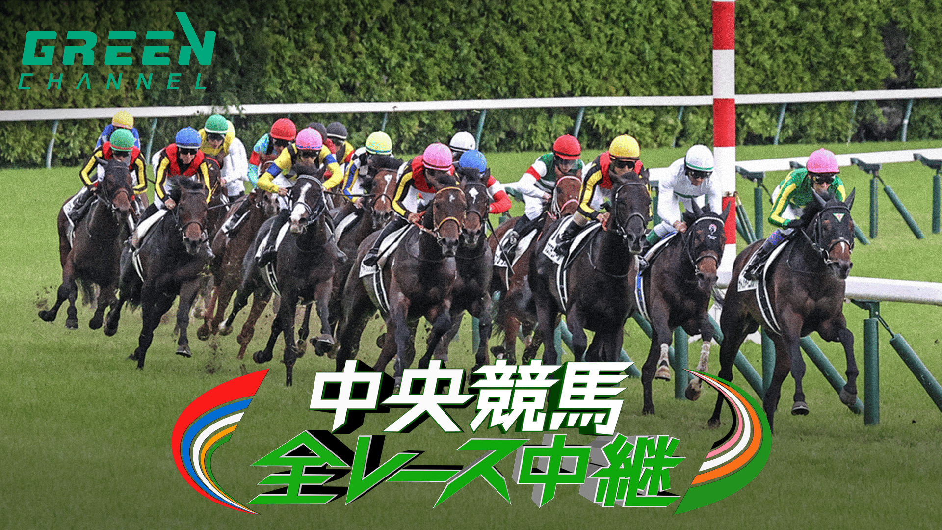中央競馬全レース中継 (スポーツ) | 無料動画・見逃し配信を見るなら