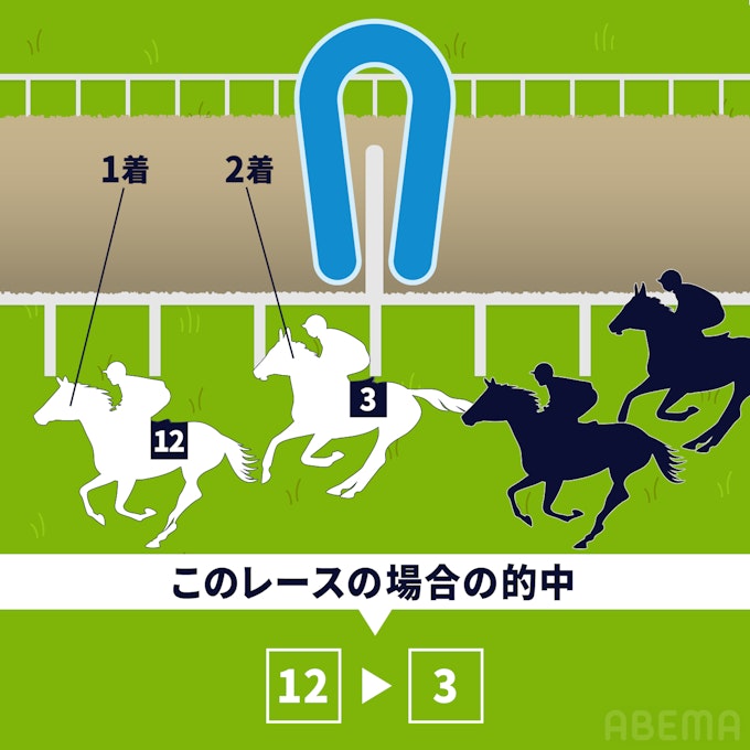 馬単(うまたん):1着と2着になる馬の「馬番号」を着順通りに当てる。
