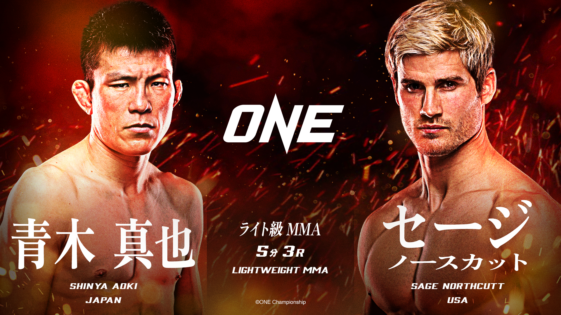 青木vsノースカット