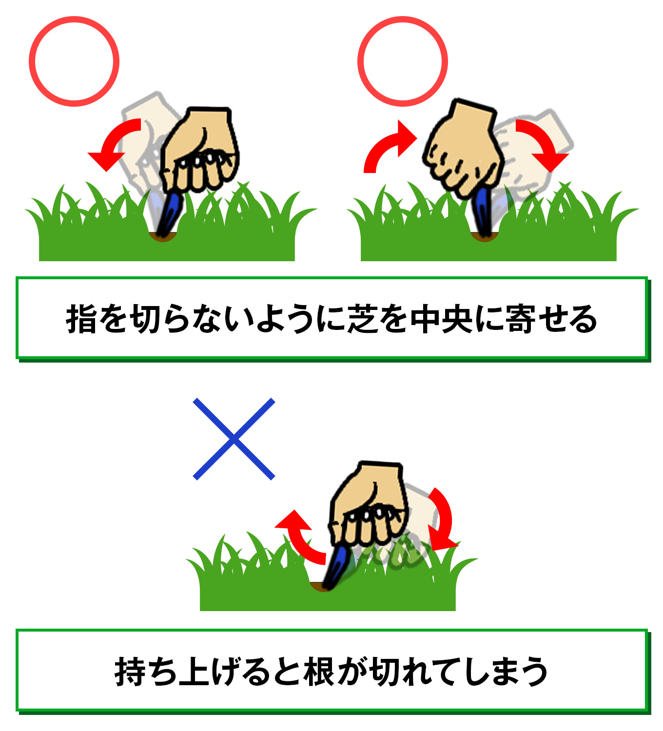 ディボットとバンカーの修復