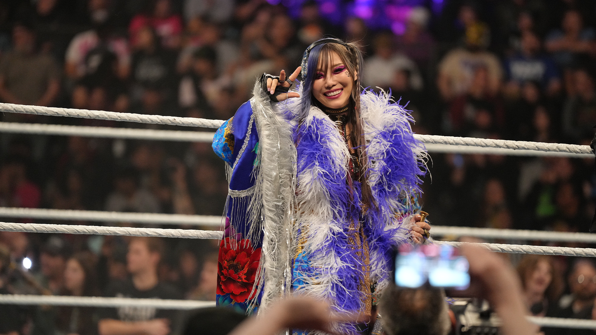 WWE関連コンテンツ