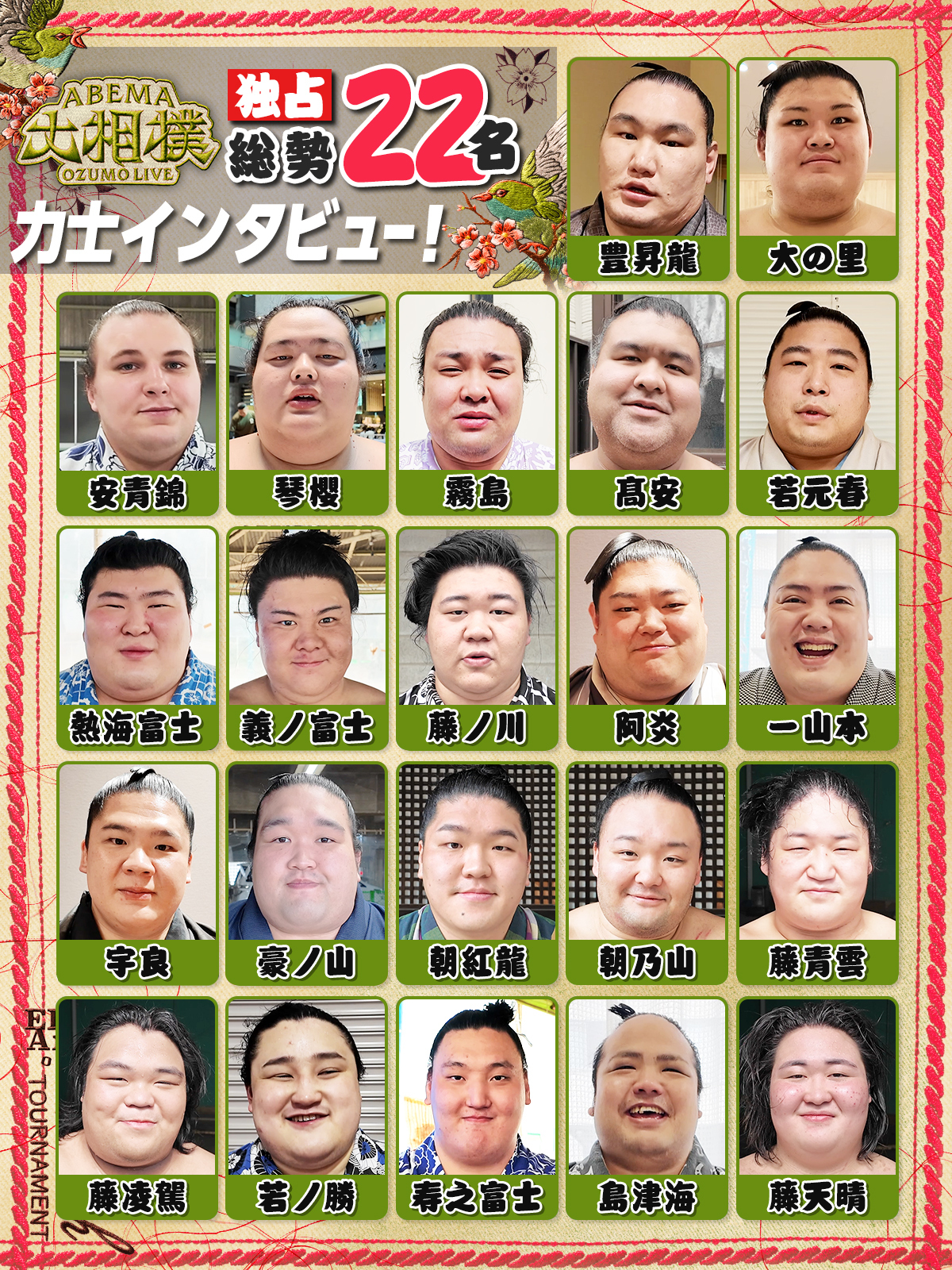 力士インタビュー