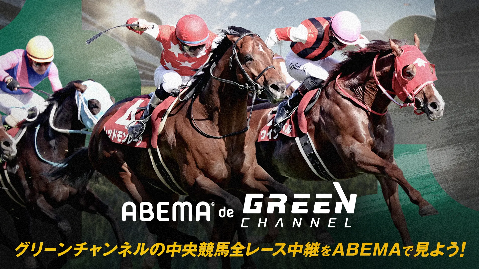 ABEMA競馬｜今週のG1・重賞ライブ日程と初心者向け馬券の種類・買い方解説