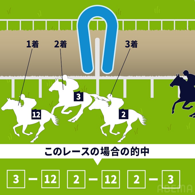 ワイド:3着までに入る2頭の組み合わせを当てる(順序は問わない)。