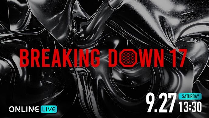 BREAKING DOWN17