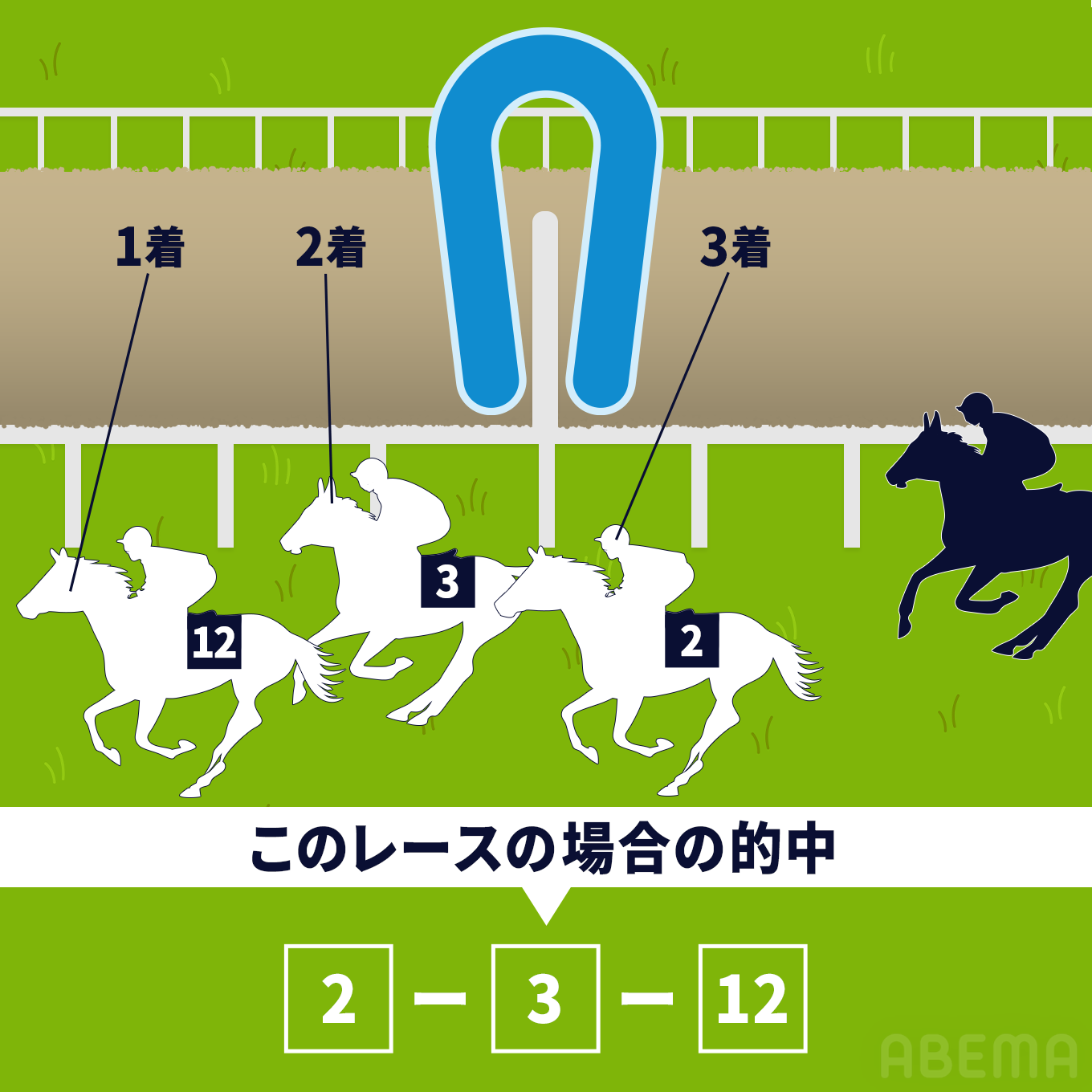 3連複（さんれんぷく）：1着、2着、3着となる馬の組み合わせを当てる（順序は問わない）。