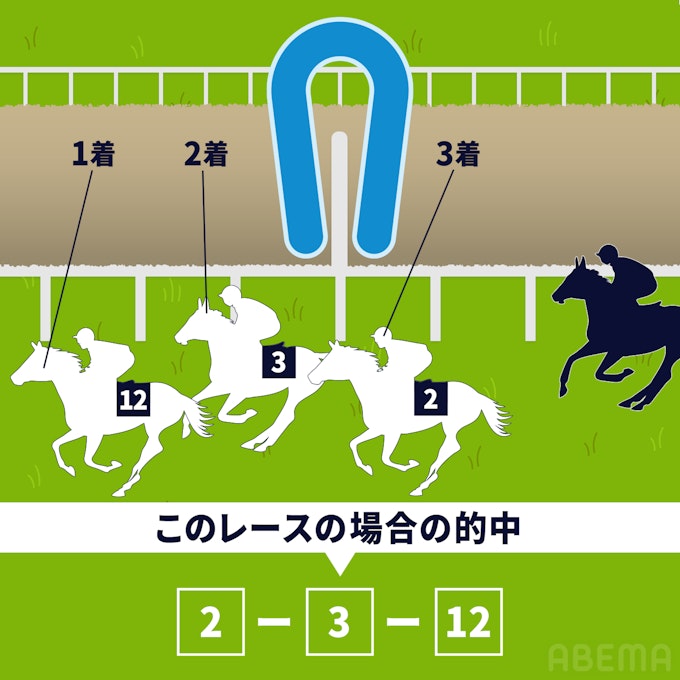 3連複(さんれんぷく):1着、2着、3着となる馬の組み合わせを当てる(順序は問わない)。