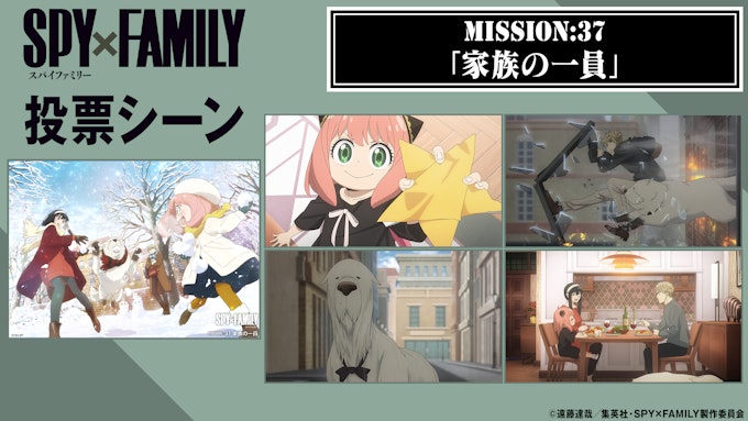 MISSION37