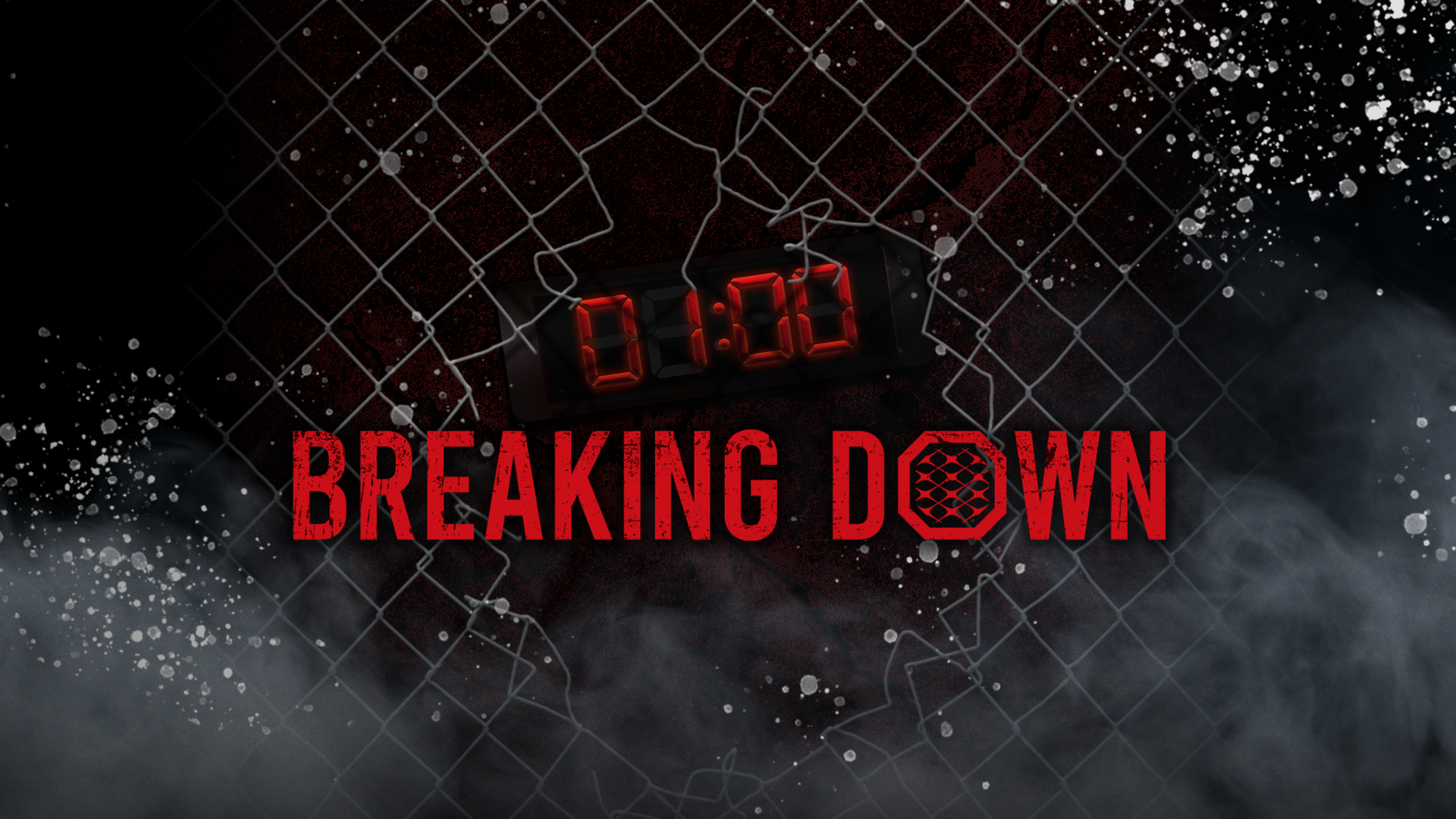 BreakingDown7〜BreakingDown11のDVD(計5枚セット) BreakingDown7〜BreakingDown11のDVD(計5枚セット) DVD