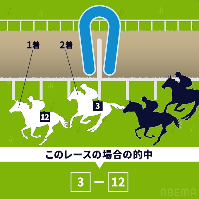 馬連(うまれん):1着と2着になる馬の「馬番号」の組み合わせを当てる(順序は問わない)。