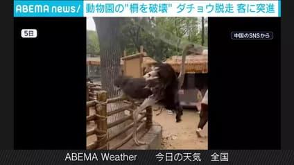 abema-news