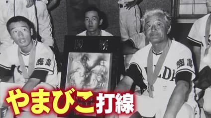 world-sports