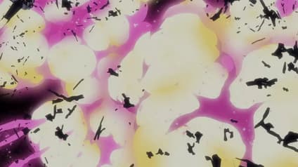 abema-anime