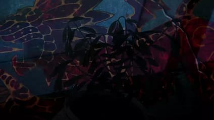 abema-anime