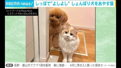 abema-news