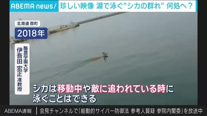 abema-news