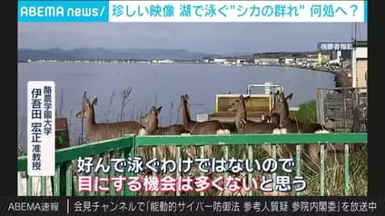 abema-news